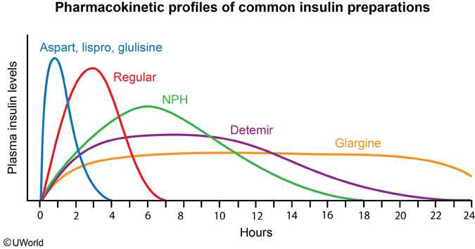 insulin-wave-chart.jpg